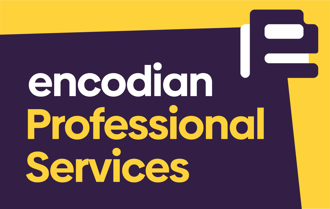 Encodian Professional Services